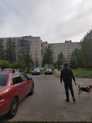 Это проспект Большевиков, детка...