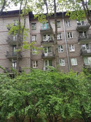 В Петербурге мы провели не очень много времени