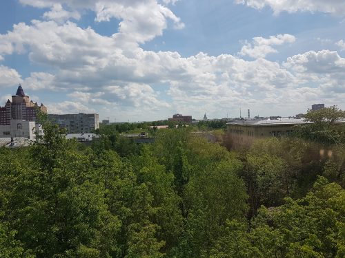 Вид с нового колеса обозрения в парке Горького.