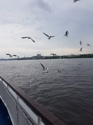 прогулка на катере по каме