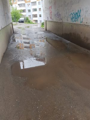 Садовый Пермь