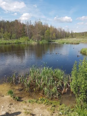 соликамск