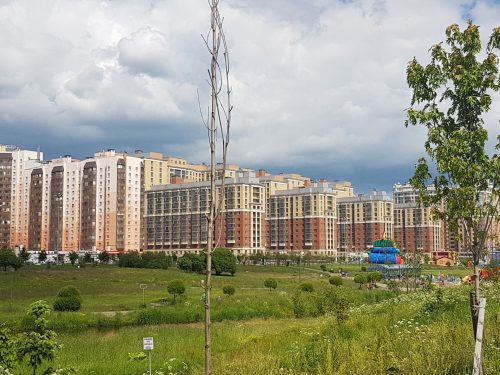 петербург