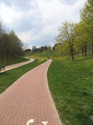 озро в люблине