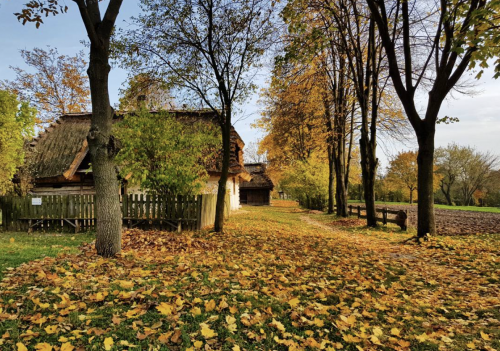 Что посмотреть в Люблине: Muzeum Wsi lubelskiej