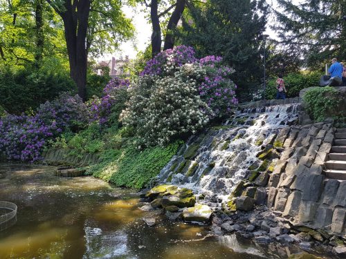 За несколько часов до отъезда из Вроцлава я еще успела заскочить в ботанический сад.