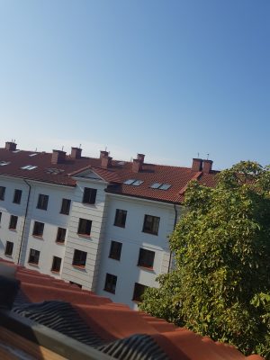 квартира под крышей