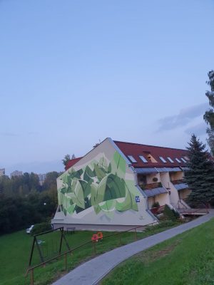 дом польша