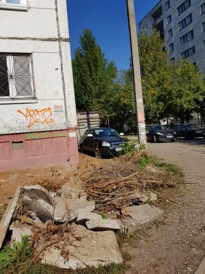 У нас был такой уютный зеленый двор, а теперь какая-то разруха