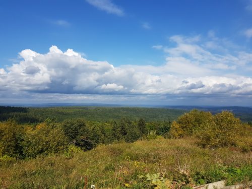 Белая гора пермь