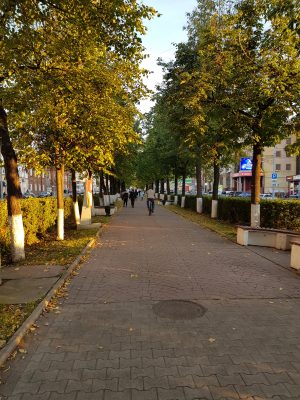 Уютная аллея на Компросе