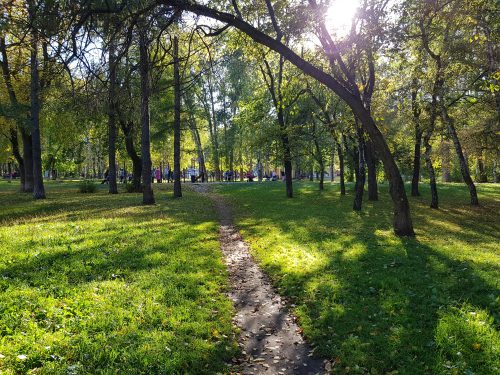 Сквер Мендовского в Перми. На удивление красивое место, зеленое, с прекрасными детскими площадками и спортивными зонами 
