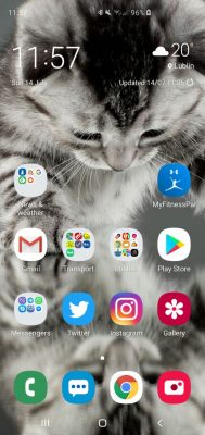s10 plus