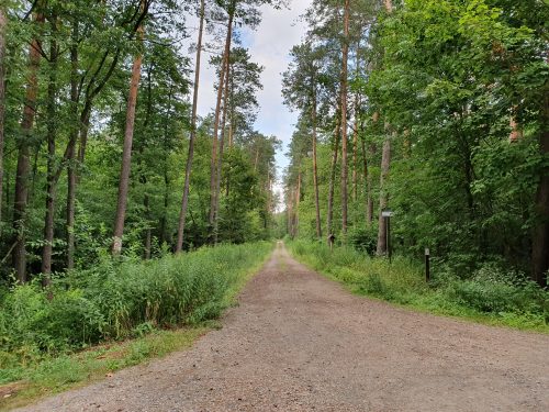 Kozłowiecki Park Krajobrazowy