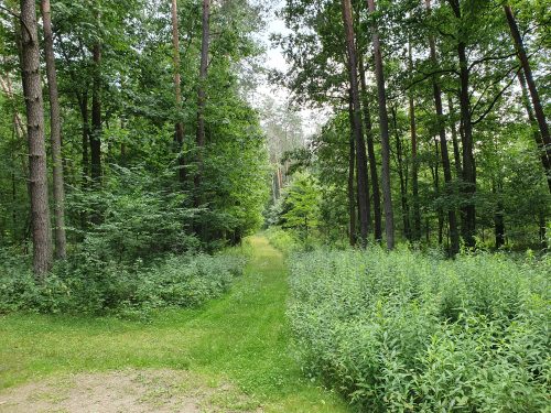 Kozłowiecki Park Krajobrazowy
