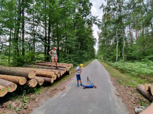 Kozłowiecki Park Krajobrazowy