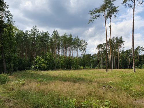 Kozłowiecki Park Krajobrazowy
