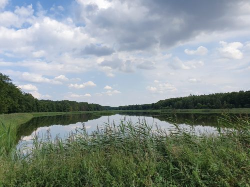 Kozłowiecki Park Krajobrazowy озера