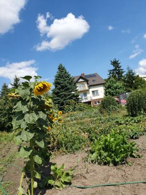 Польша уютные пригороды