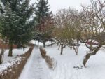 фото с galaxy s10+