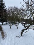 Фото с iPhone 11 Pro Max
