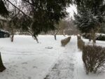 Фото с iPhone 11 Pro Max