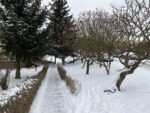 Фото с iPhone 11 Pro Max
