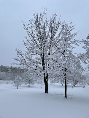 Зима в Польше