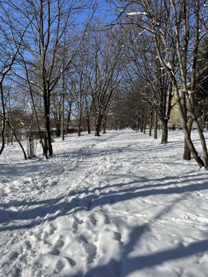 Зима в Польше