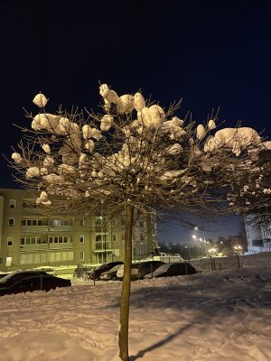Зима в Польше