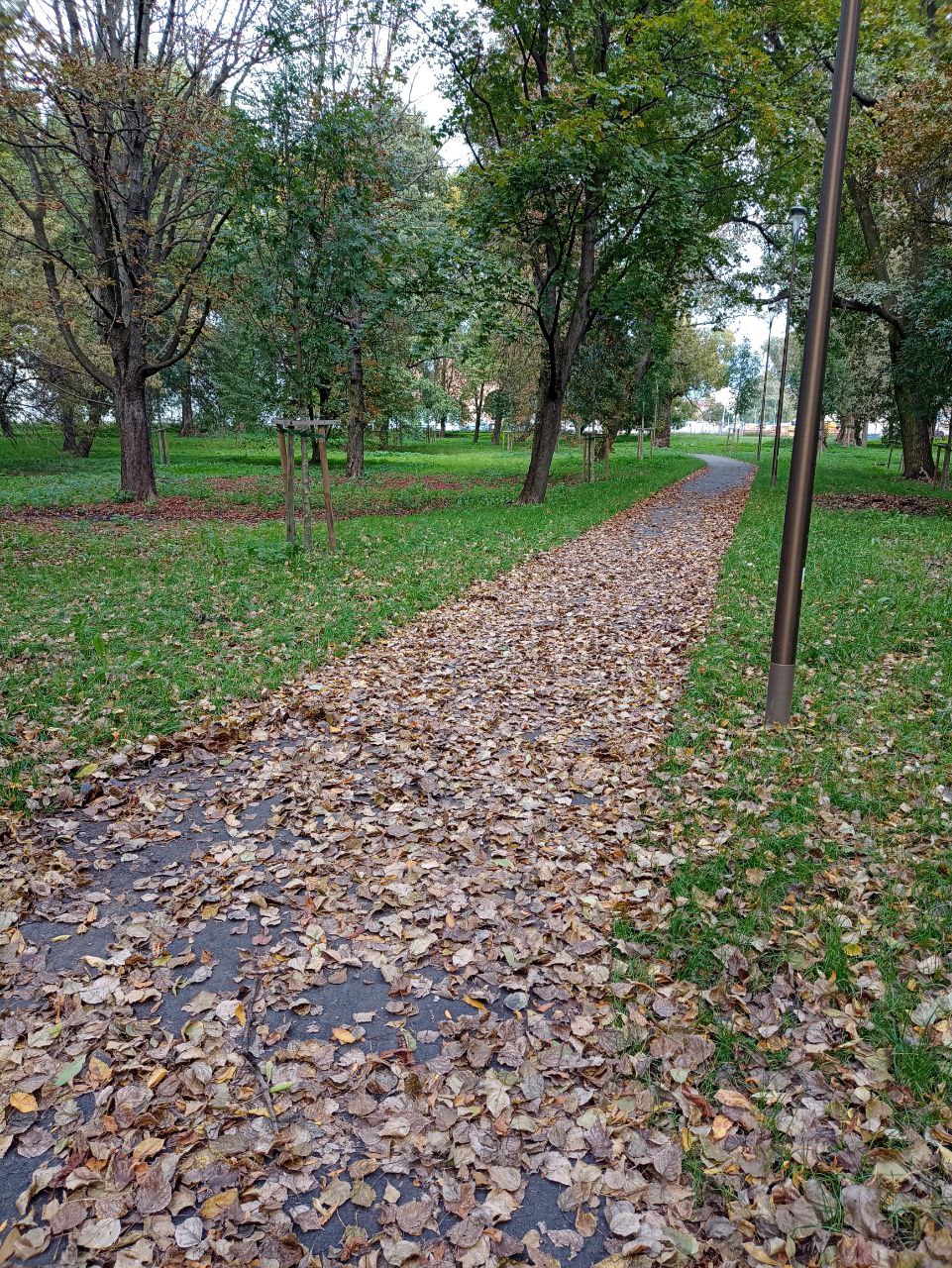 осень в парк Ludowy park Lublin