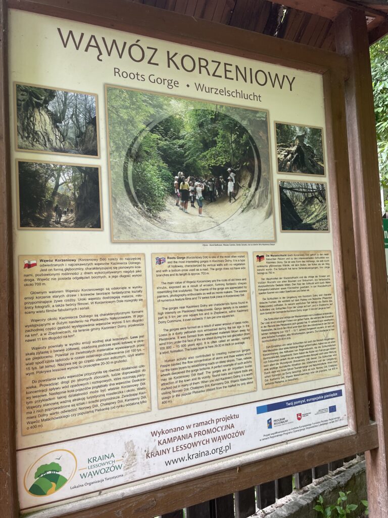 Wąwóz Korzeniowy Dól Wąwóz Korzeniowy Dól