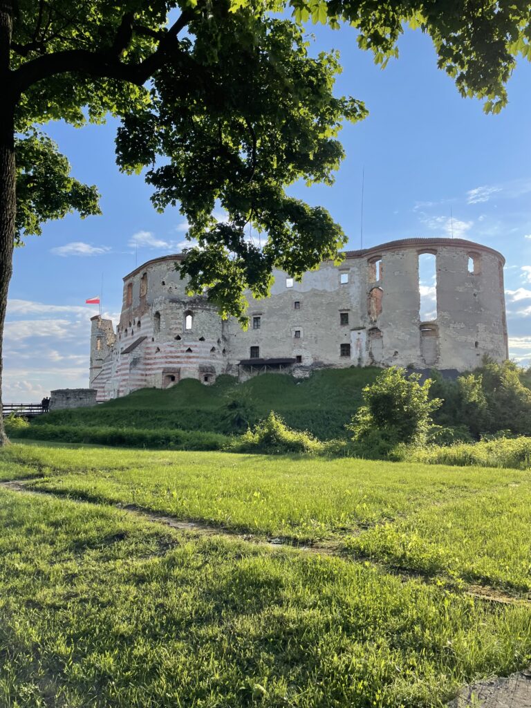 Яновецкий замок
