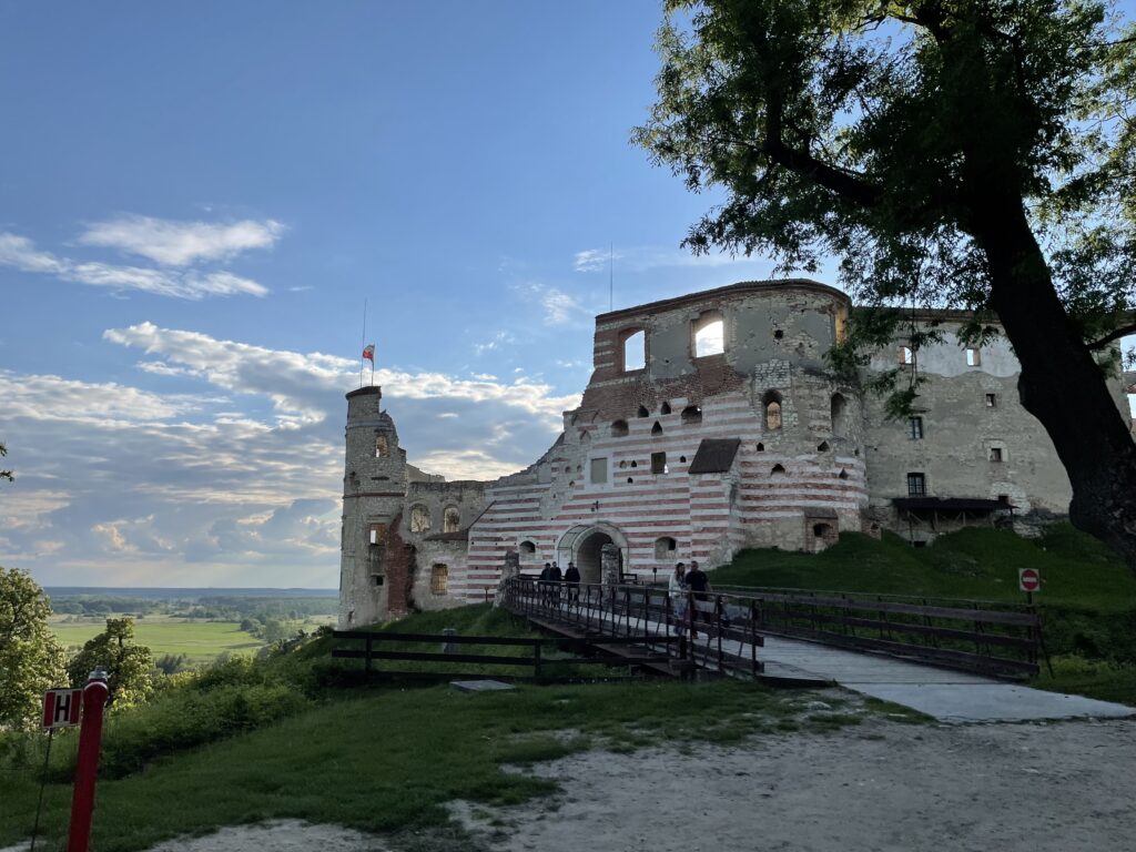 Яновецкий замок