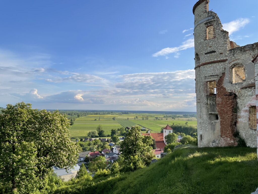 Яновецкий замок