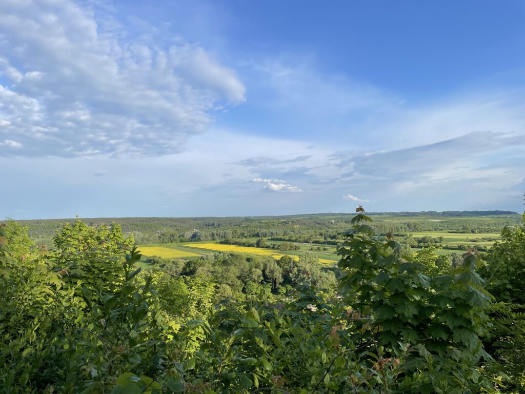 Яновецкий замок
