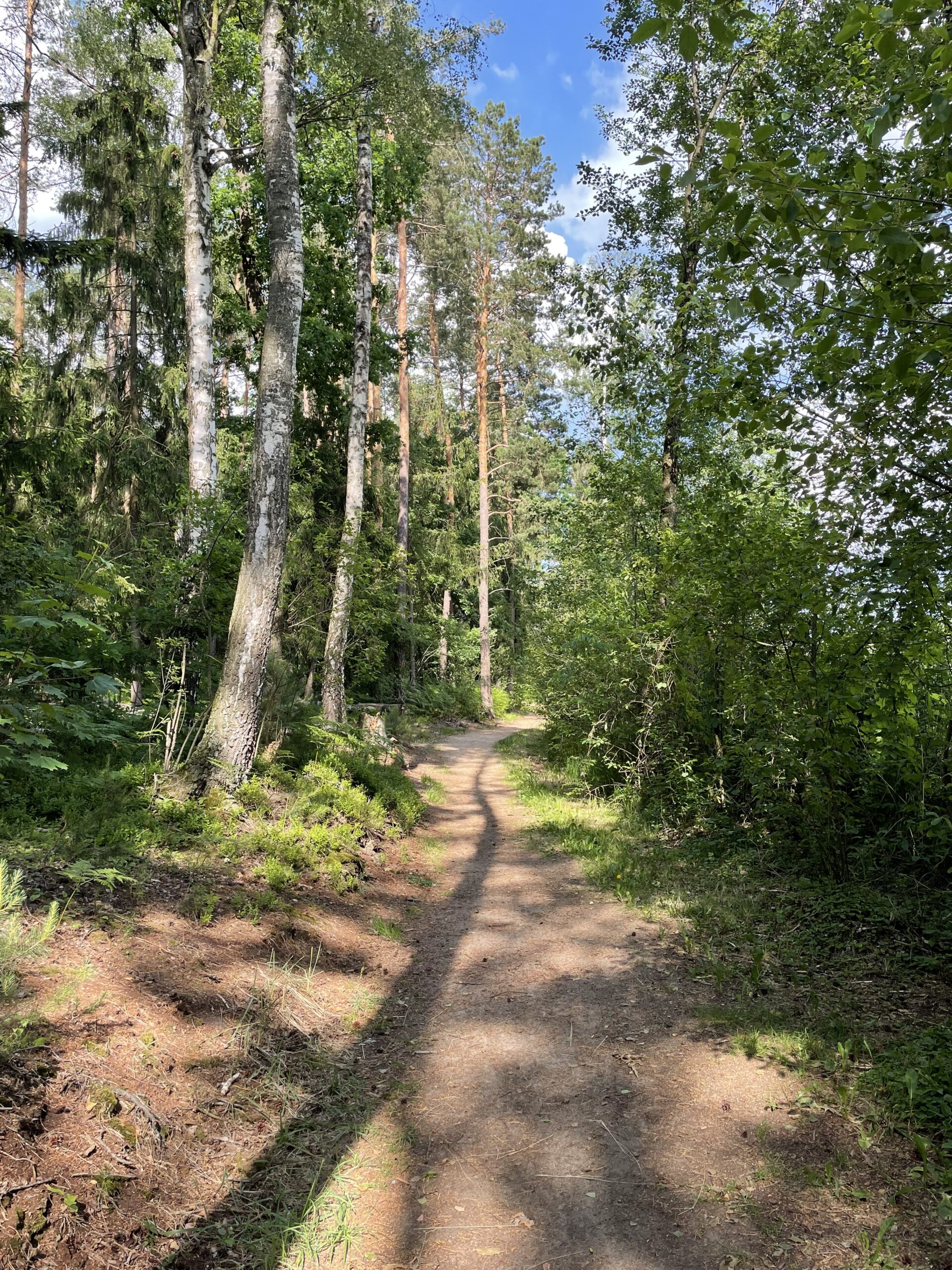Bobrówka ścieżka