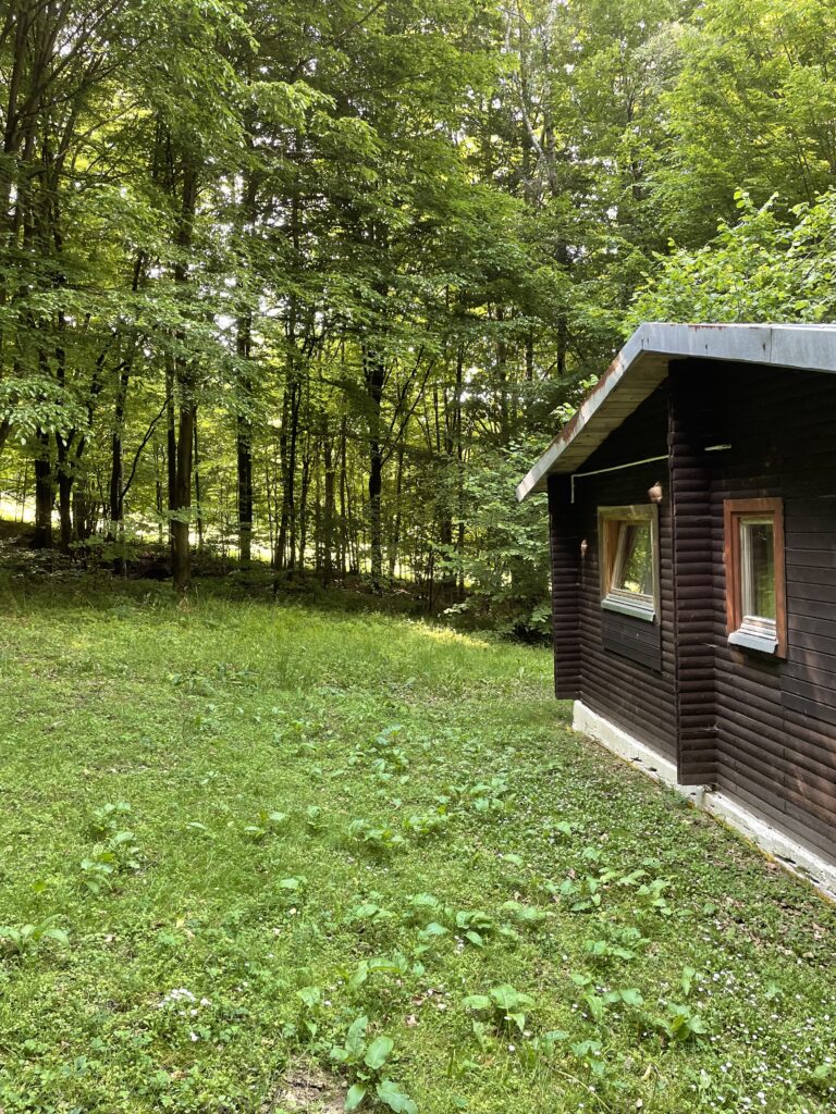 Ustrzyki Dolne Olimp