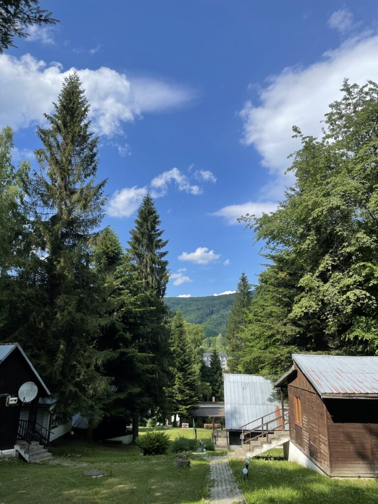 Ustrzyki Dolne Olimp