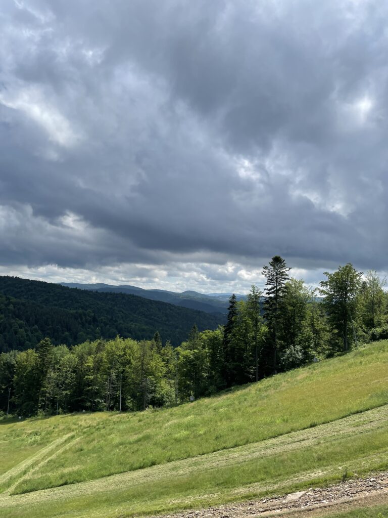 Jaworzyna Krynicka
