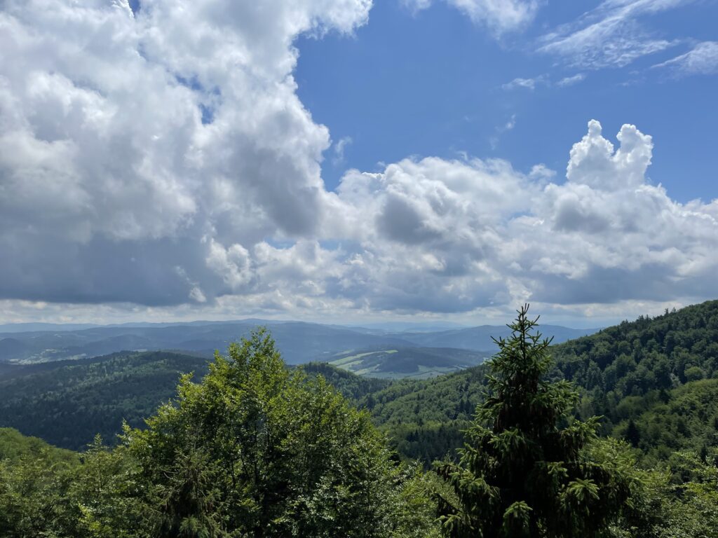Jaworzyna Krynicka