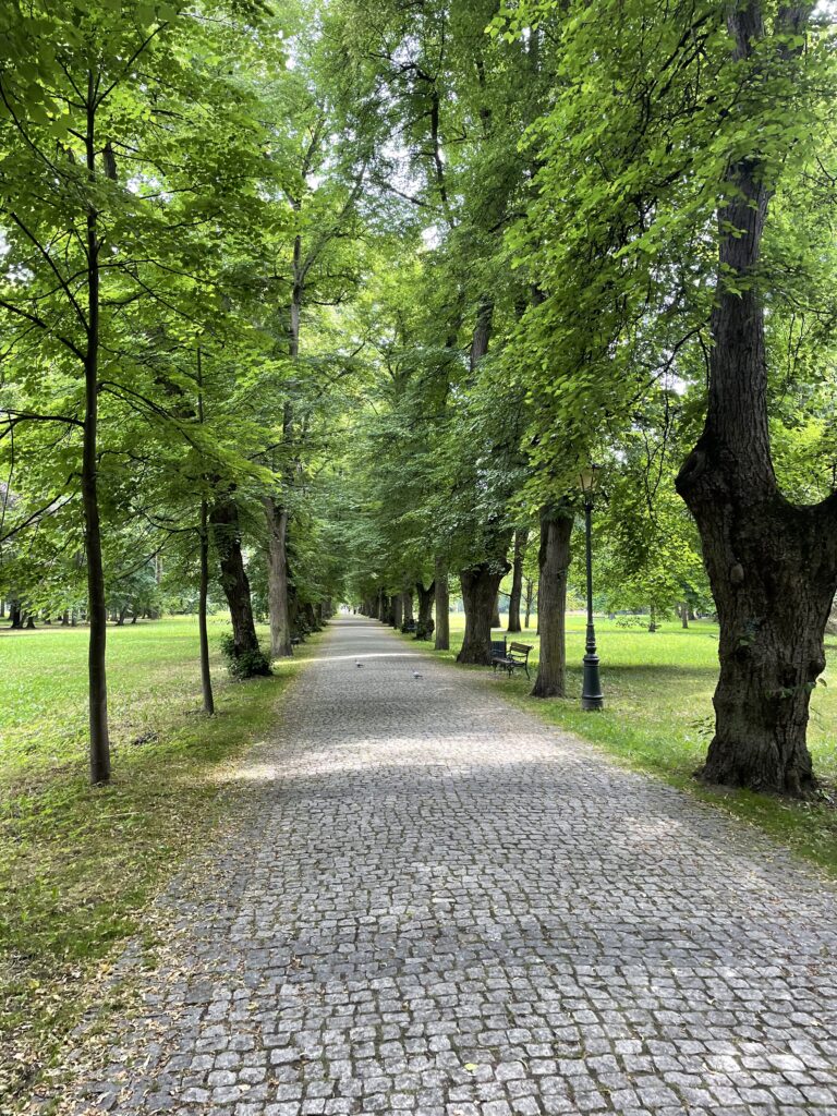Żywiec