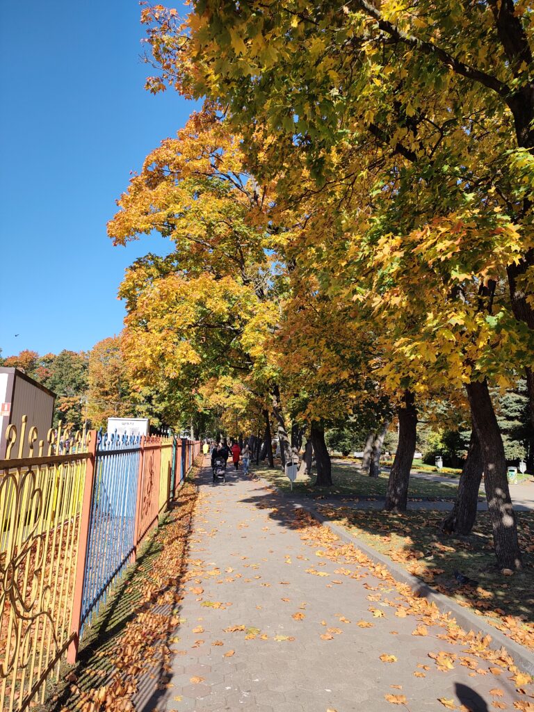 Парк отдыха Калининград