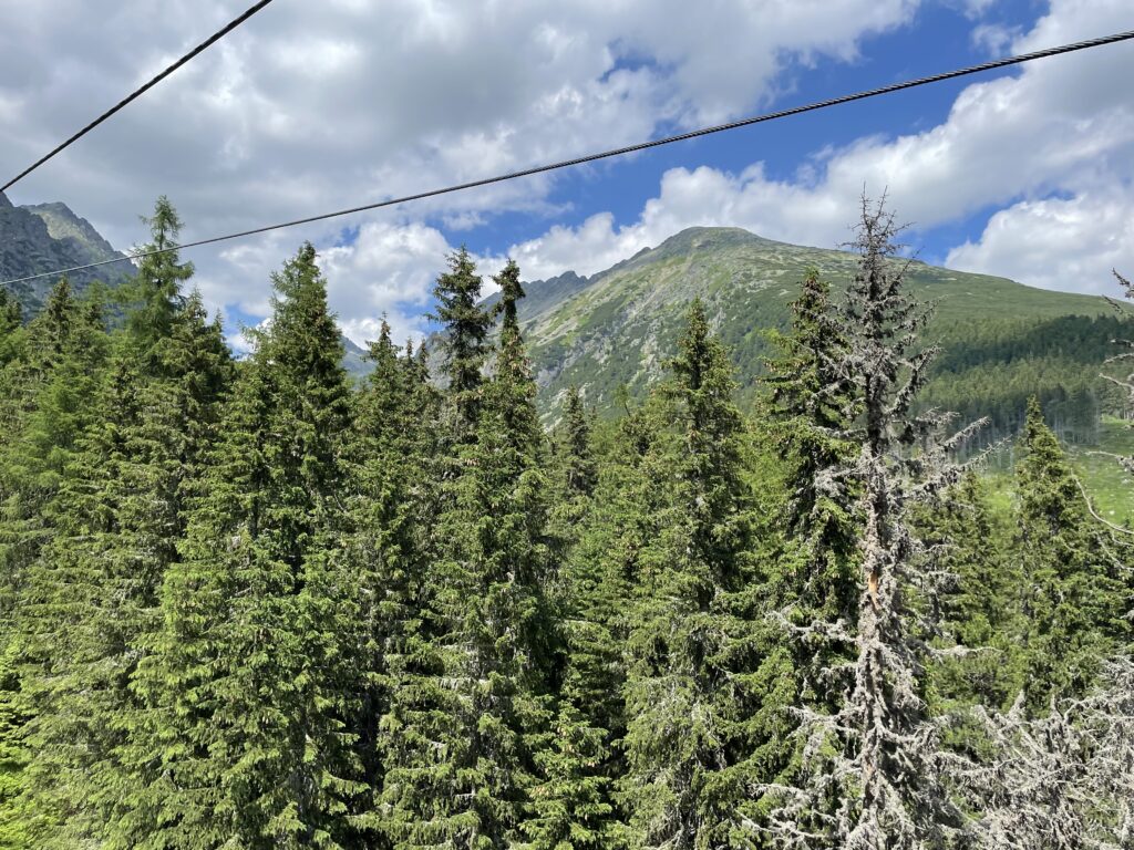 Solisko Expres
