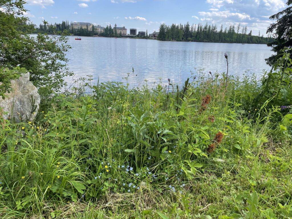 Štrbské pleso