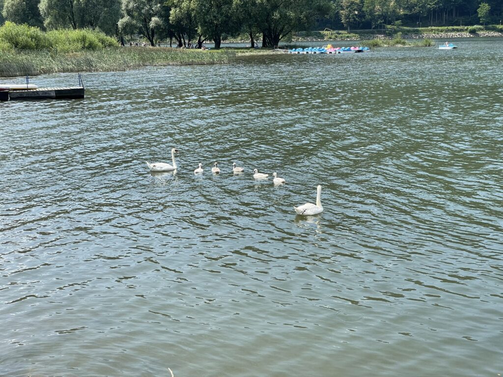 Живецкое озеро
