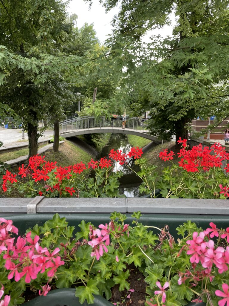 Кельце