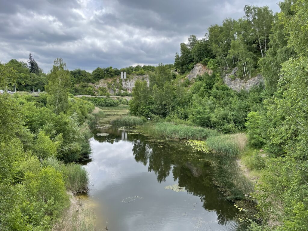 Rezerwat Kadzielnia