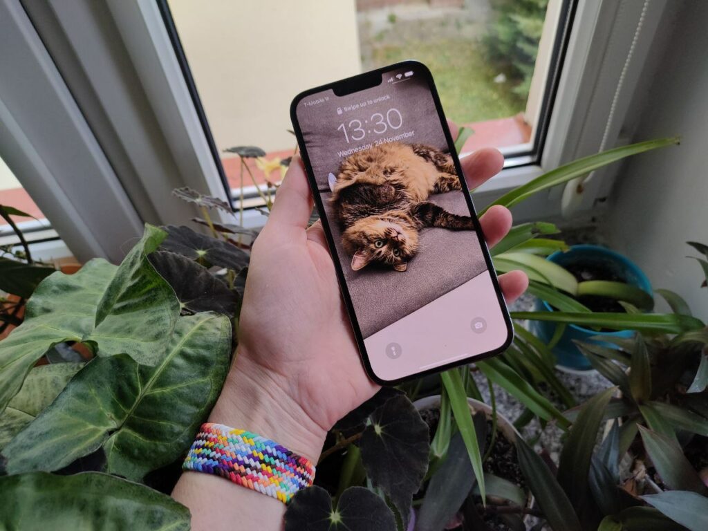 iPhone 13 Pro Max
