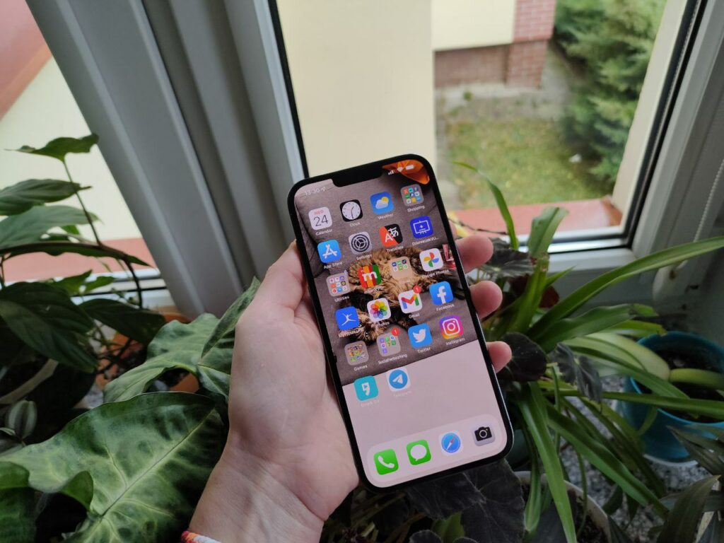 iPhone 13 Pro Max